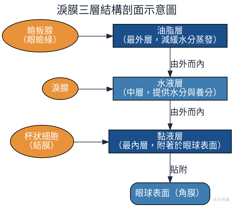 淚膜由外而內三層結構剖面圖，最外層為瞼板腺分泌的油脂層，中層為淚腺分泌的水液層，最內層為杯狀細胞分泌的黏液層