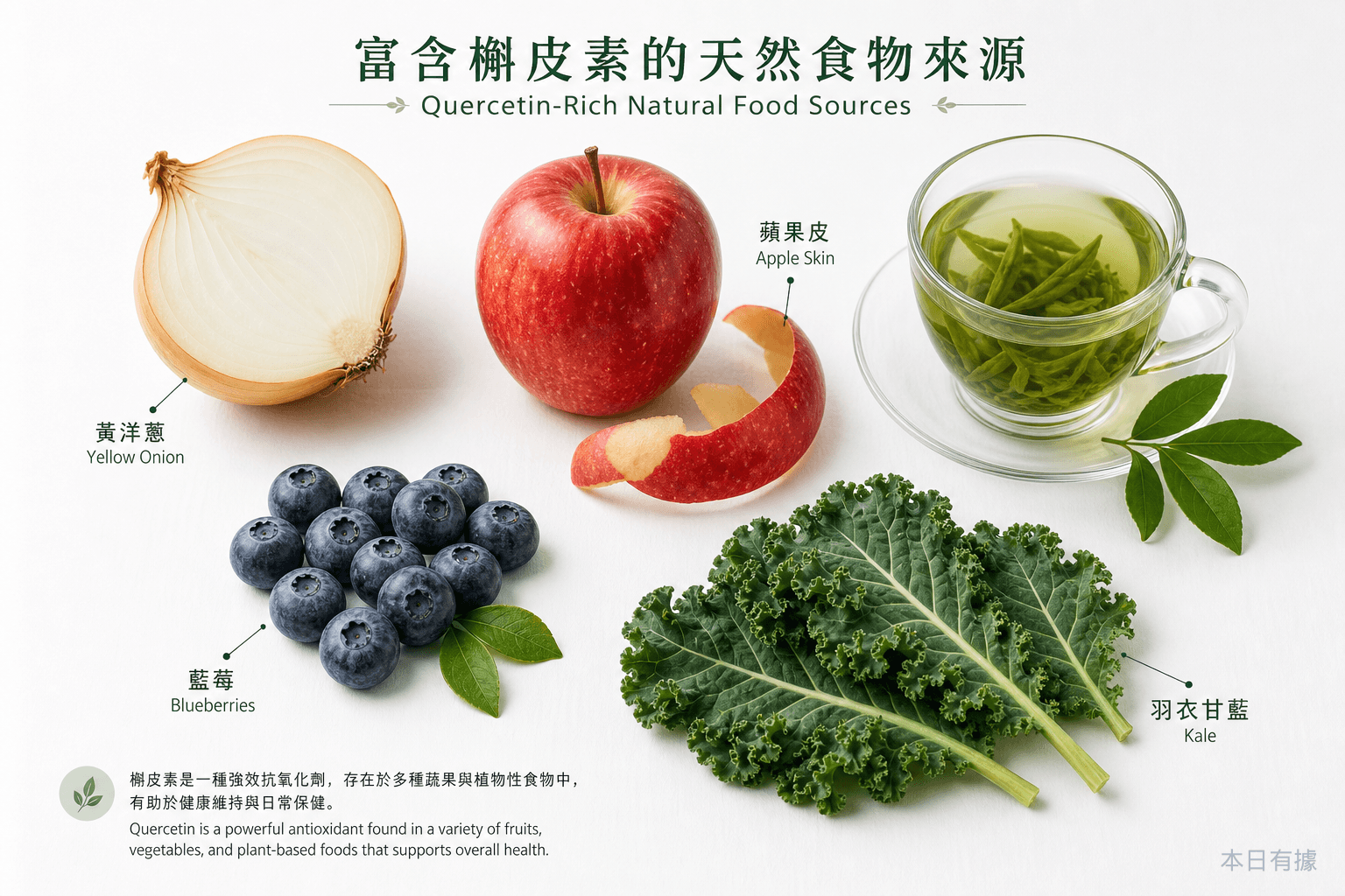槲皮素能抗老是真的嗎？科學證據比你想的複雜 縮圖