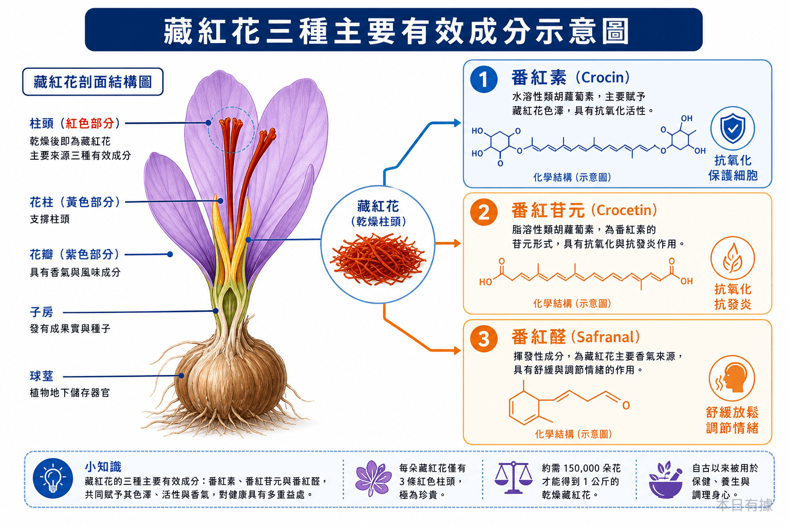 藏紅花三種主要有效成分：番紅素、番紅苷元與番紅醛的示意圖